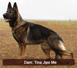 Tina Jipo Me