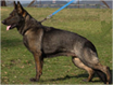 Feja z Jirkova Dvora Side View